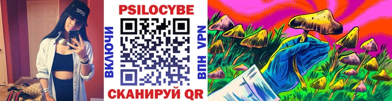 Псилоцибиновые грибы Psilocybine cubensis где продают наркотики Изобильный